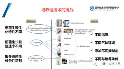 培養組通幽微世界，助力微生物資源大作為——記國家微生物科學數據中心網絡精品課網絡技術開發